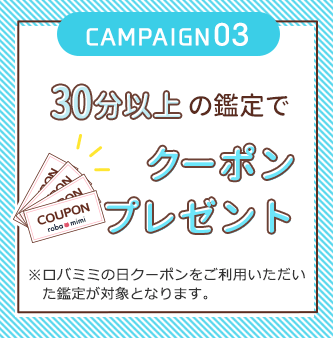 30分以上の鑑定でクーポンプレゼント ※ロバミミの日クーポンをご利用いただいた鑑定が対象となります。