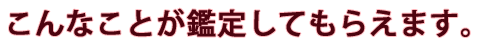 こんなことが鑑定してもらえます。