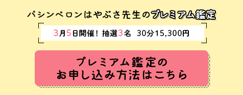 パシンペロンはやぶさ先生のプレミアム鑑定！3月5日開催！抽選3名 30分15,300円！