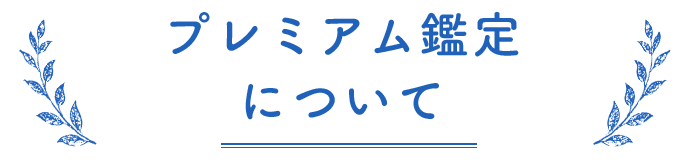 プレミアム鑑定について