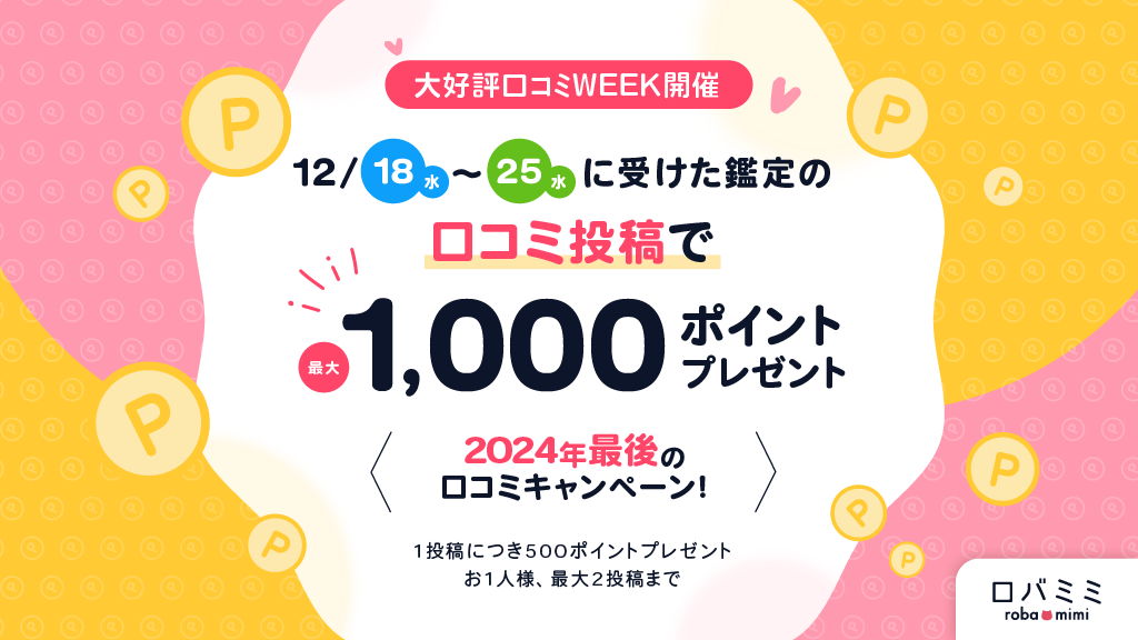 2024年最後の口コミキャンペーン！12月18日～25日に受けた鑑定の口コミ投稿で最大1000ポイントプレゼント