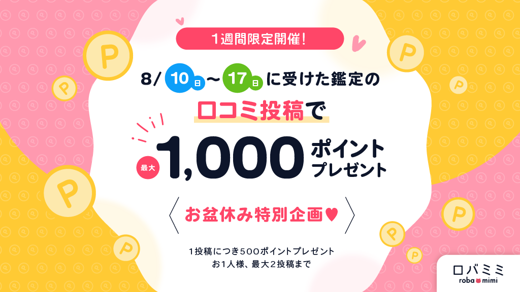 お盆休み特別企画☆口コミ投稿で最大1,000ポイントプレゼント