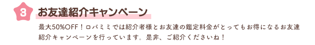 お友達紹介キャンペーン 最大50％OFF!ロバミミでは紹介者様とお友達の鑑定料金がとってもお得になるお友達紹介キャンペーンを行っています。是非、ご紹介くださいね！