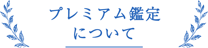 プレミアム鑑定について