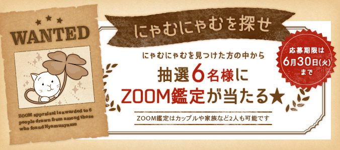 にゃむにゃむを探せ!にゃむにゃむを見つけた方の中から抽選6名様にZOOM鑑定が当たる☆ZOOM鑑定はカップルや家族など2人も可能です 応募期限は6月30日(火)まで