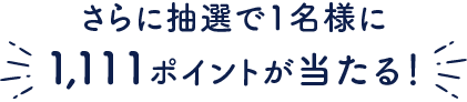 さらに抽選で1名様に1,111ポイントが当たる!