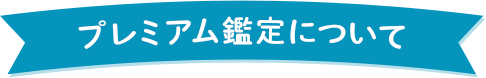 プレミアム鑑定について